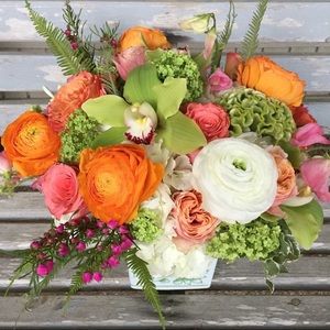 Meet your Posher, Trisha